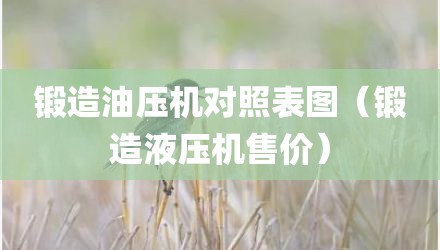锻造油压机对照表图（锻造液压机售价）
