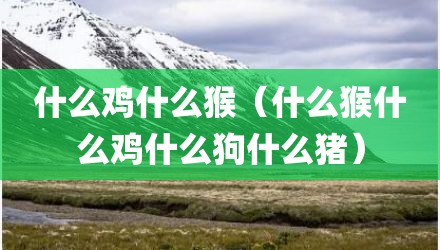 什么鸡什么猴（什么猴什么鸡什么狗什么猪）