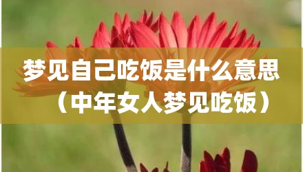 梦见自己吃饭是什么意思（中年女人梦见吃饭）