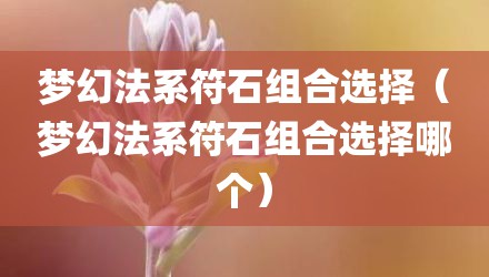 梦幻法系符石组合选择（梦幻法系符石组合选择哪个）