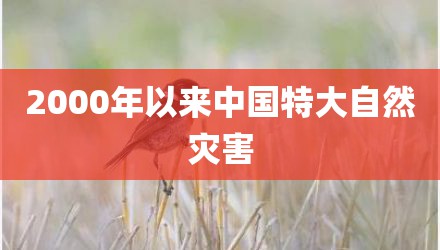 2000年以来中国特大自然灾害
