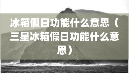 冰箱假日功能什么意思（三星冰箱假日功能什么意思）