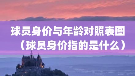球员身价与年龄对照表图(球员身价指的是什么)