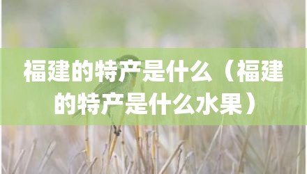 福建的特产是什么（福建的特产是什么水果）