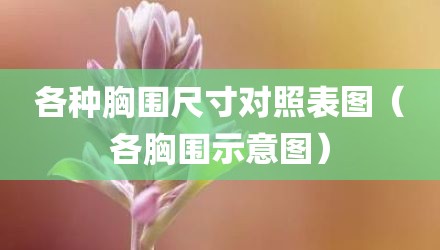 各种胸围尺寸对照表图（各胸围示意图）