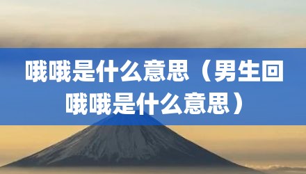 哦哦是什么意思（男生回哦哦是什么意思）