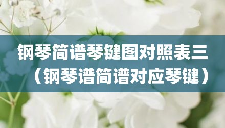 钢琴简谱琴键图对照表三（钢琴谱简谱对应琴键）