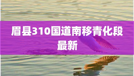 眉县310国道南移青化段最新