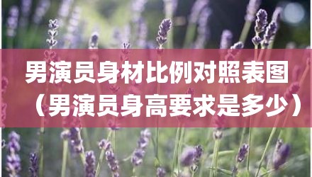 男演员身材比例对照表图（男演员身高要求是多少）