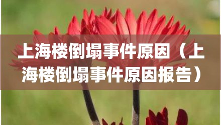 上海楼倒塌事件原因（上海楼倒塌事件原因报告）