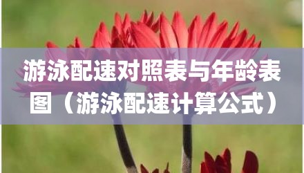 游泳配速对照表与年龄表图（游泳配速计算公式）