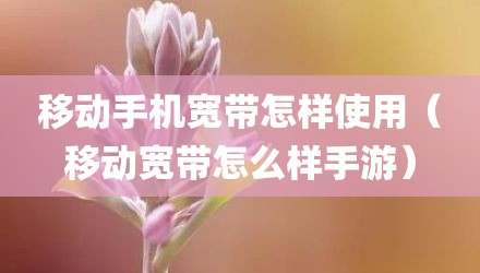 移动手机宽带怎样使用(移动宽带怎么样手游)