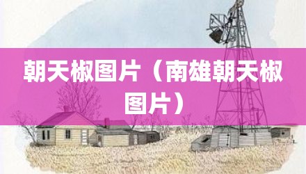朝天椒图片（南雄朝天椒图片）