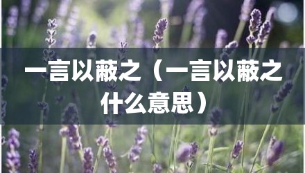 一言以蔽之（一言以蔽之什么意思）
