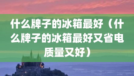 什么牌子的冰箱最好（什么牌子的冰箱最好又省电质量又好）