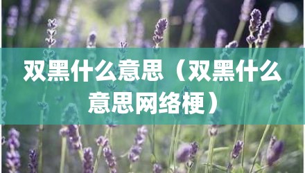 双黑什么意思(双黑什么意思网络梗)