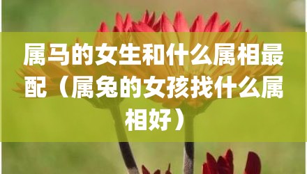 属马的女生和什么属相最配（属兔的女孩找什么属相好）