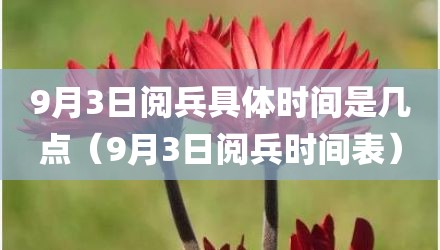 9月3日阅兵具体时间是几点（9月3日阅兵时间表）