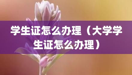 学生证怎么办理（大学学生证怎么办理）