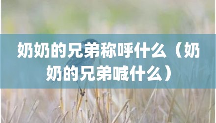 奶奶的兄弟称呼什么（奶奶的兄弟喊什么）