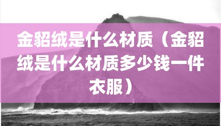 金貂绒是什么材质（金貂绒是什么材质多少钱一件衣服）