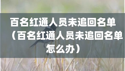 百名红通人员未追回名单（百名红通人员未追回名单怎么办）