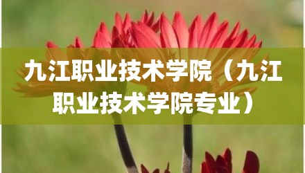 九江职业技术学院（九江职业技术学院专业）