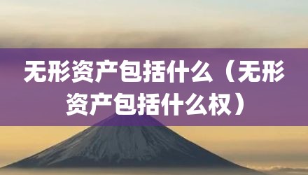 无形资产包括什么（无形资产包括什么权）