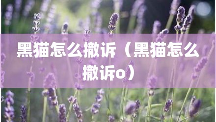 黑猫怎么撤诉（黑猫怎么撤诉o）
