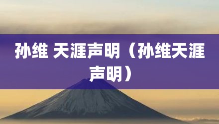 孙维 天涯声明（孙维天涯声明）