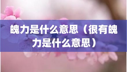 魄力是什么意思（很有魄力是什么意思）