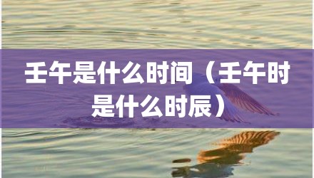 壬午是什么时间（壬午时是什么时辰）
