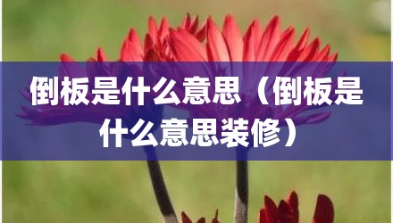 倒板是什么意思（倒板是什么意思装修）