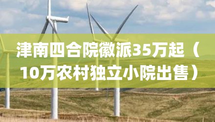 津南四合院徽派35万起（10万农村独立小院出售）