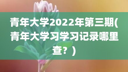 青年大学2022年第三期(青年大学习学习记录哪里查？)