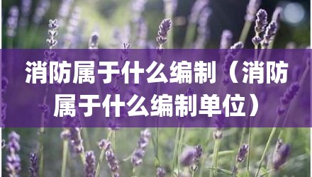 消防属于什么编制（消防属于什么编制单位）