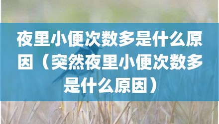 夜里小便次数多是什么原因（突然夜里小便次数多是什么原因）