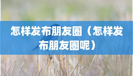 怎样发布朋友圈（怎样发布朋友圈呢）