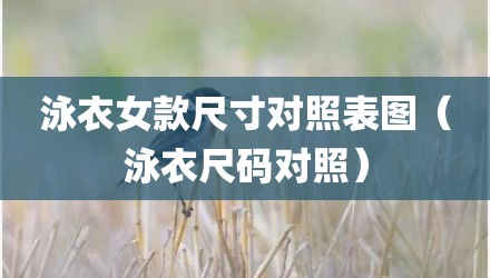 泳衣女款尺寸对照表图（泳衣尺码对照）