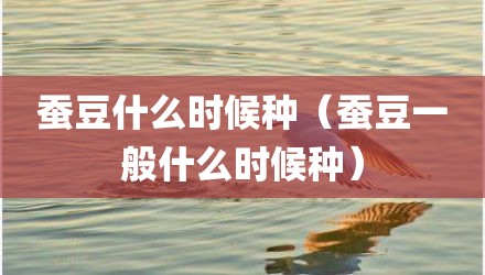 蚕豆什么时候种（蚕豆一般什么时候种）