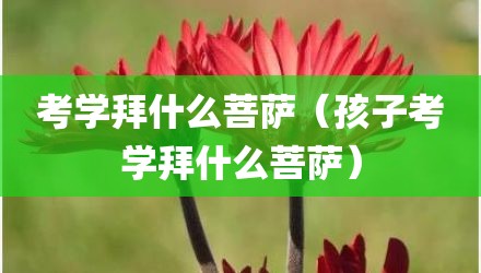 考学拜什么菩萨（孩子考学拜什么菩萨）