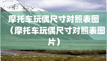 摩托车玩偶尺寸对照表图（摩托车玩偶尺寸对照表图片）