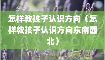 怎样教孩子认识方向（怎样教孩子认识方向东南西北）