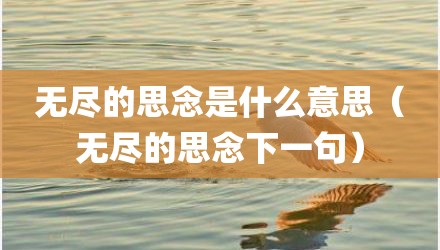 无尽的思念是什么意思（无尽的思念下一句）