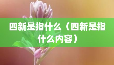 四新是指什么(四新是指什么内容)
