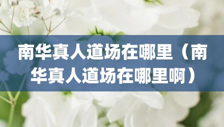 南华真人道场在哪里（南华真人道场在哪里啊）