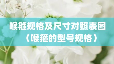 喉箍规格及尺寸对照表图（喉箍的型号规格）