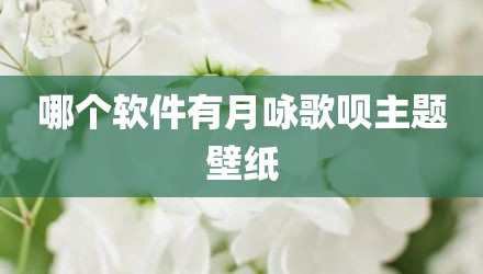 哪个软件有月咏歌呗主题壁纸
