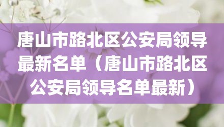 唐山市路北区公安局领导最新名单（唐山市路北区公安局领导名单最新）