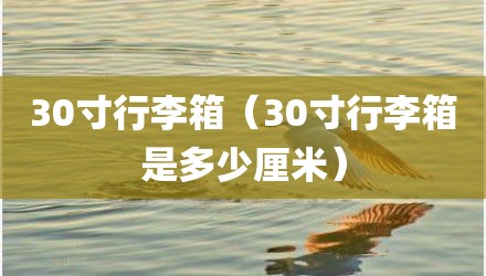 30寸行李箱（30寸行李箱是多少厘米）